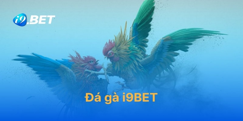 Giới thiệu sơ lược về sảnh đá gà I9bet